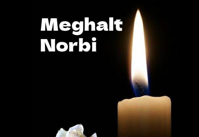 Országos gyász!🖤Meghalt Norbi!