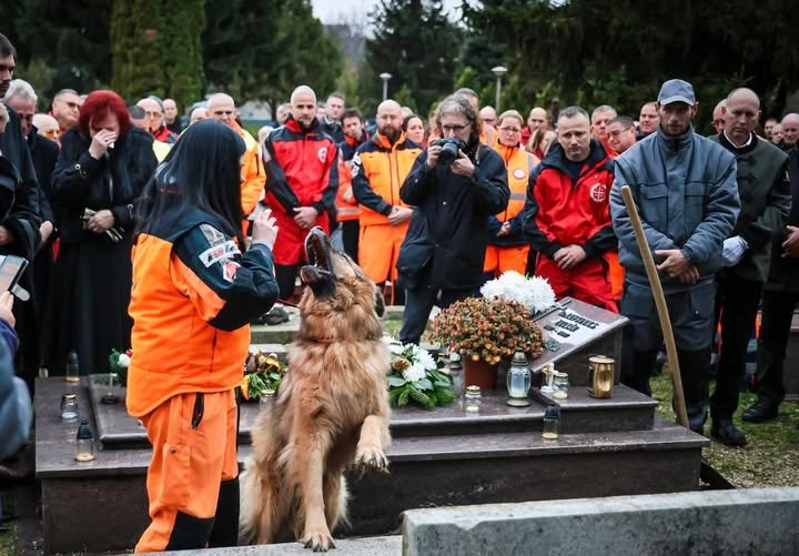 Utolsó útjára kísérték Lehoczki-Spider Lászlót..amit a kutyája tett.. szerencsére levideózták..videó lent