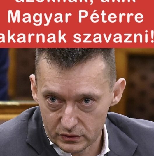 Sokkoló üzenet Rogán Antaltól:: „Több adót fognak fizetni, ingatlanadót fognak fizetni, mindet rájuk verik majd” 👇 Cikk a hozzászólásoknál >>>
