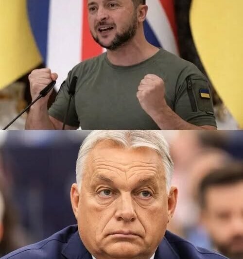 BREAKING!!! Zelenszkij Megtette Orbán Viktorral – Az egész világ Magyarországra figyel most! – EZ nagyon durva: