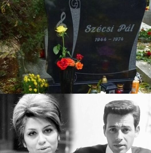 Elszólta magát a jóbarát: ezért halt meg valójában Szécsi Pál, nem Domján Edit miatt! 👇