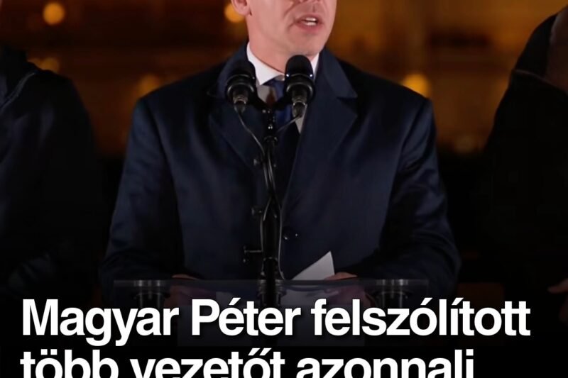 Magyar Péter felszólított több vezetőt azonnali lemondásra, nem hiszed el mit reagáltak