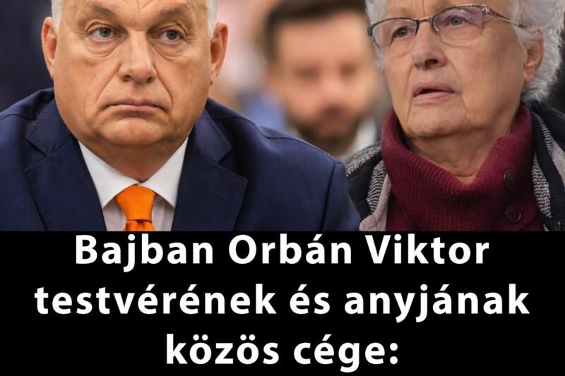 Bányafelügyeleti eljárás indult a Hahót Tőzeg Kft. ellen