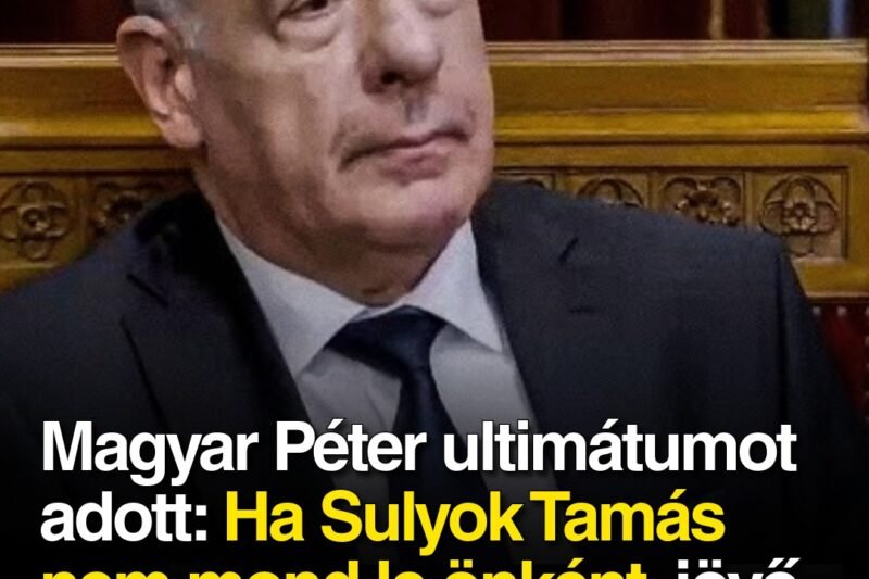 Magyar Péter ultimátumot adott: Ha Sulyok Tamás nem mond le önként, jövő héten indul a megfosztási eljárás!