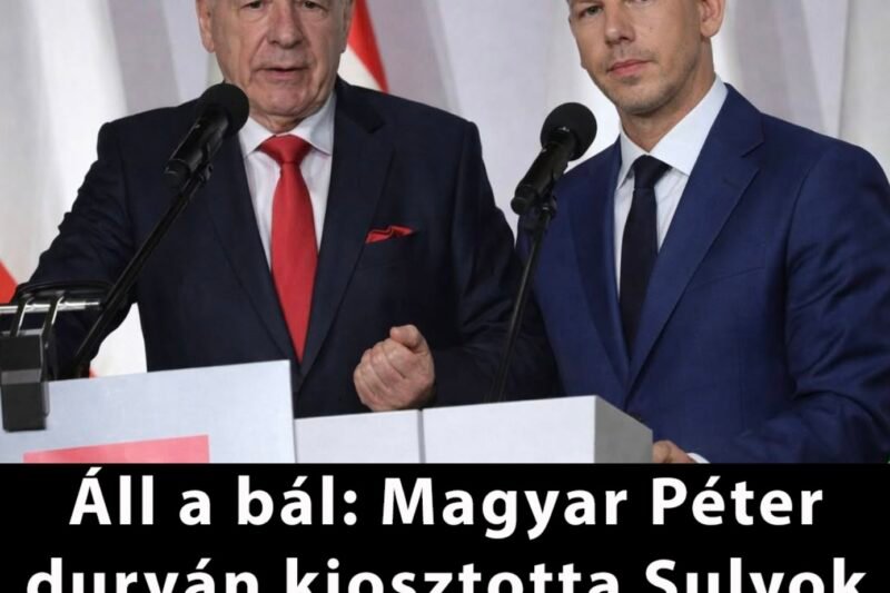 Áll a bál: Magyar Péter durván kiosztotta Sulyok Tamást!