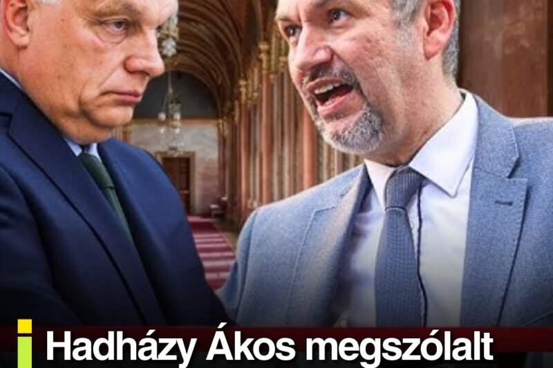 Hadházy Ákos megszólalt Orbán Viktor őrizetbe vételéről