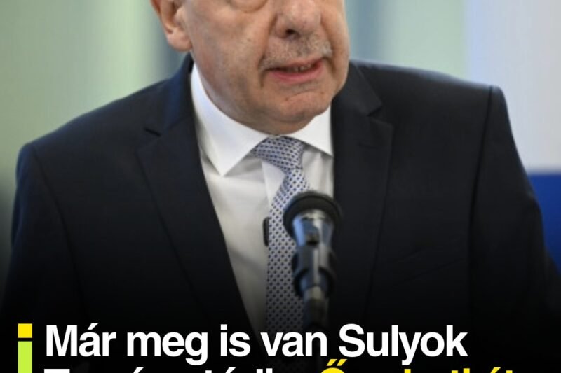 Már meg is van Sulyok Tamás utódja: Ő veheti át a köztársasági-elnök helyét