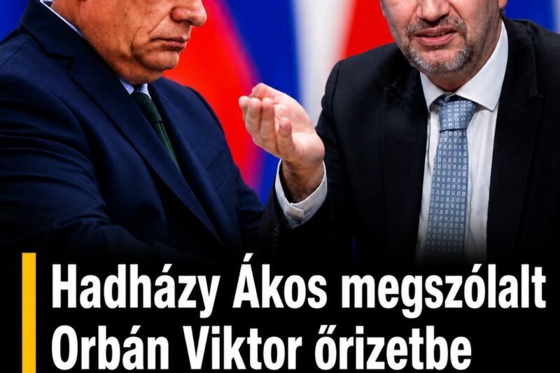 Hadházy Ákos: Fontos mérföldkő lesz Orbán Viktor őrizetbe vétele