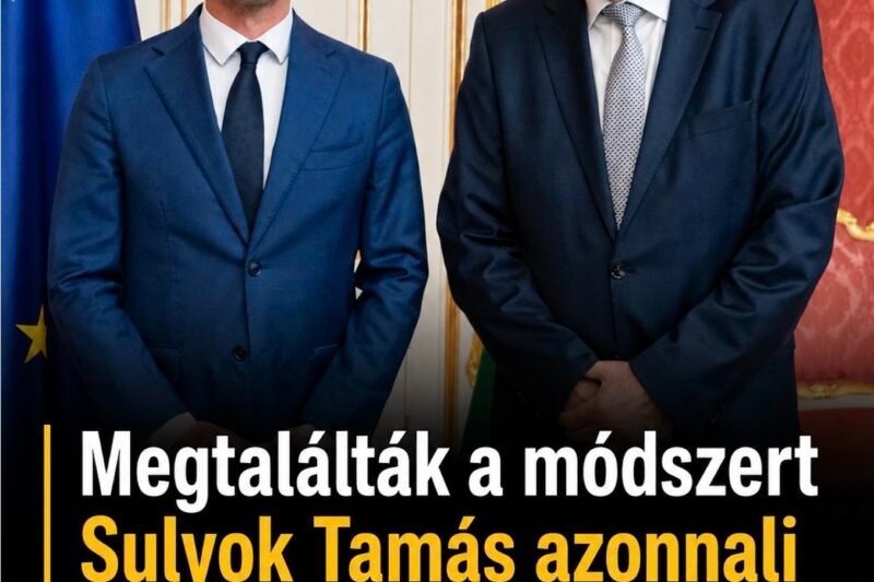 Megtalálták a módszert Sulyok Tamás azonnali lemondatására, elkezdődött a végjáték