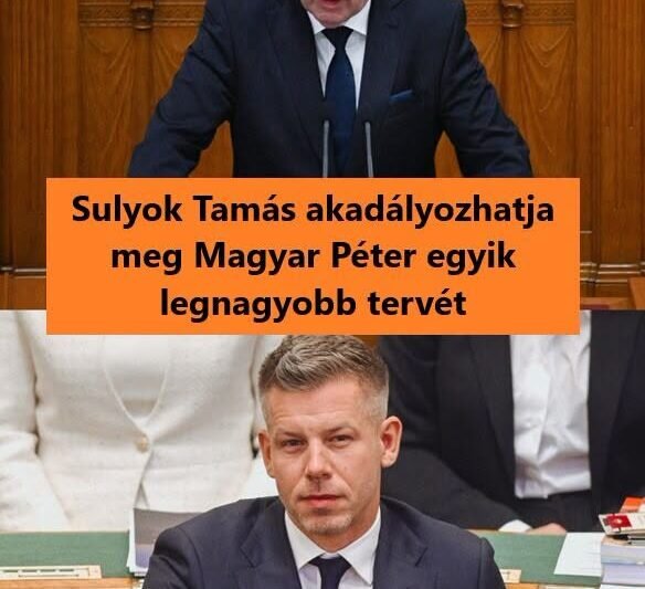 Sulyok Tamás akadályozhatja meg Magyar Péter egyik legnagyobb tervét