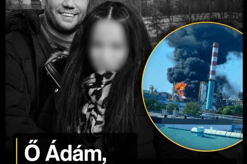 Az özvegy szerint férje tapasztalt szakember volt, aki nem hibázott