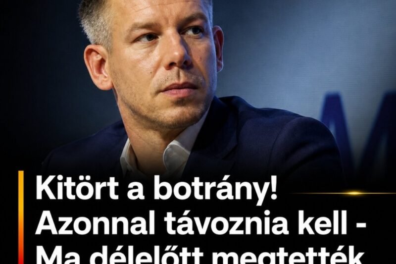 Megérkezett az első komoly bírálat Magyar Péterhez