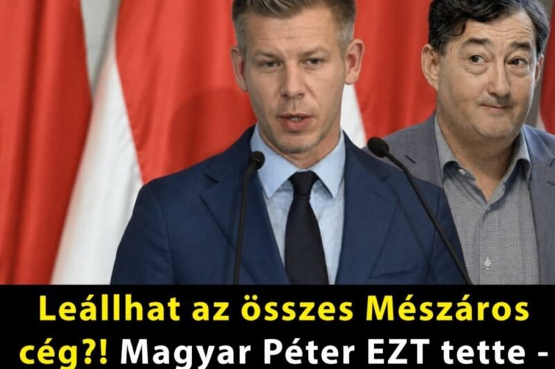 Leállhat az összes Mészáros cég?! Magyar Péter EZT tette – Döbbenetes, ami most történik:
