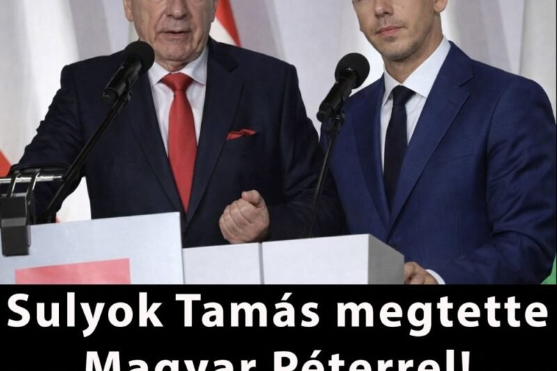 Sulyok Tamás megtette Magyar Péterrel! EZ már háború!