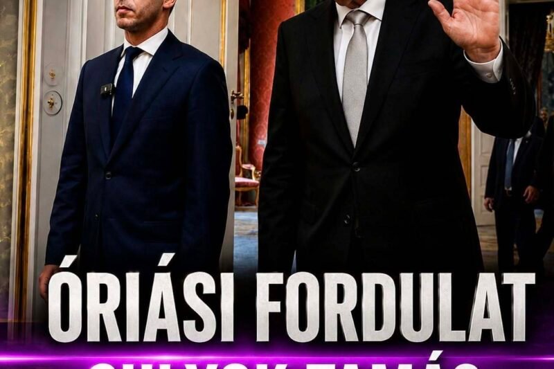 ÓRIÁSI FORDULAT SULYOK TAMÁS ÜGYÉBEN!