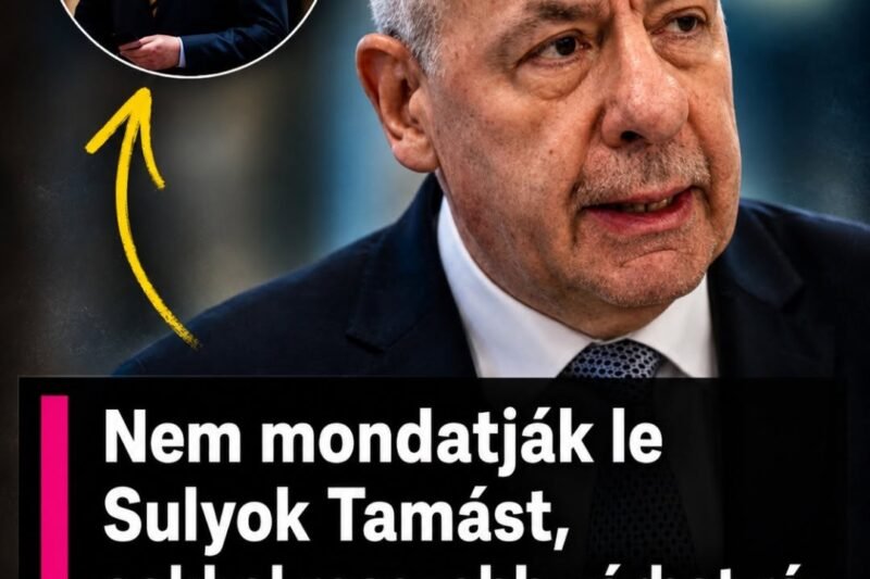Nem mondatják le Sulyok Tamást, sokkal rosszabb várhat rá: Megvan a jogalap a megfosztáshoz