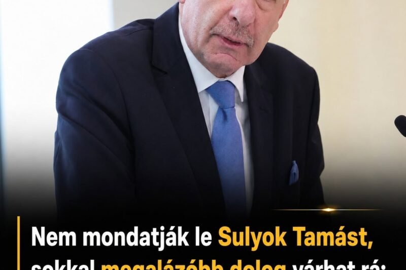 Nem mondatják le Sulyok Tamást, sokkal megalázóbb dolog várhat rá: Megvan a jogalap a megfosztáshoz