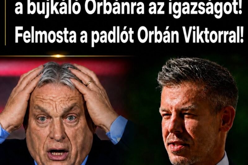 Magyar Péter ráolvasta a bujkáló Orbánra az igazságot!Felmosta a padlót Orbán Viktorral – Ez eddig a legkeményebbkritika