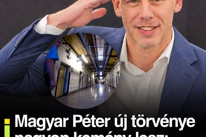 Magyar Péter új törvénye nagyon kemény lesz: börtönbe kerülhet a politikus, aki hazudik
