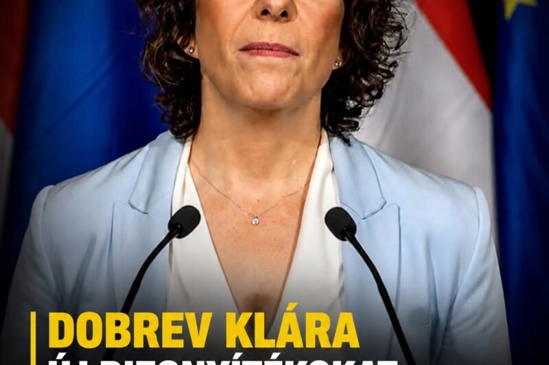 Dobrev Klára új bizonyítékokat tett közzé Sulyok Tamás múltjáról