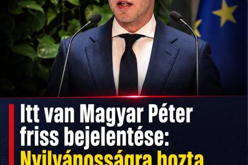Itt van Magyar Péter friss bejelentése: Nyilvánosságra hozta Orbán titkos kormányüléseinek döntéseit