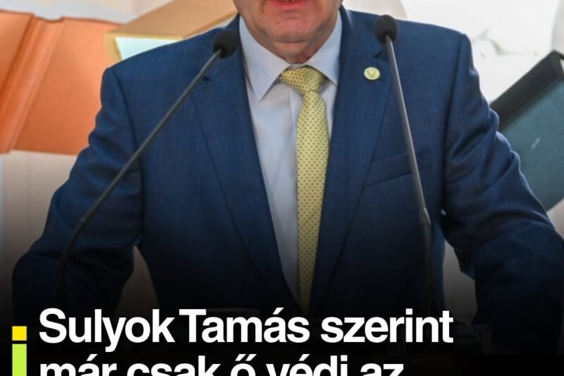 Sulyok Tamás szerint már csak ő védi az alkotmányosságot, de aztán durván kiosztották