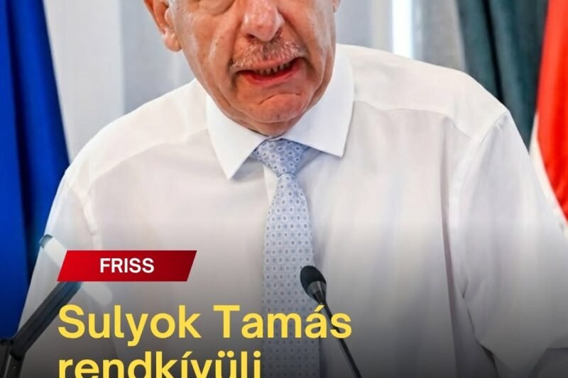 Sulyok Tamás váratlan lépésre szánta el magát, Magyar Péter azonnal reagált