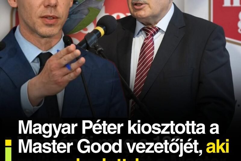 Magyar Péter kiosztotta a Master Good vezetőjét, aki panaszkodott, hogy külföldi munkaerő nélkül inkább nem épít gyárat