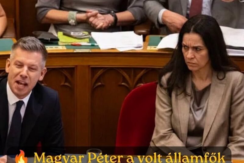 Novák Katalin, Sulyok Tamás és Schmitt Pál juttatásait is elvenné Magyar Péter