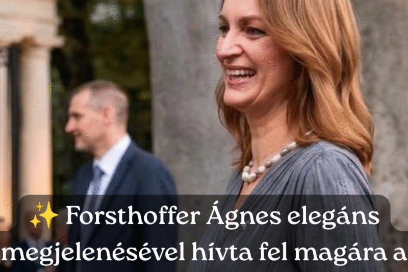 Forsthoffer Ágnes álomszép ruhában jelent meg a francia nagykövetség fogadásán