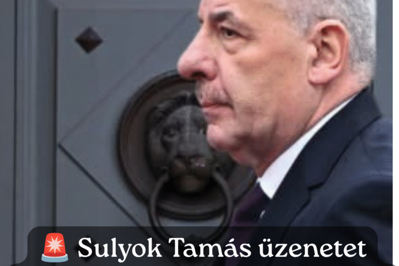 Sulyok Tamás azonnal üzent Magyar Péternek – EZ áll benne