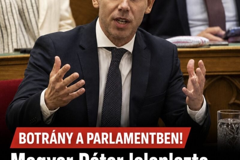 Magyar Péter leleplezte Orbán szerbiai mulatozásának részleteit! Cikk a hozzászólásoknál! 👇 – MindenegybenBlog