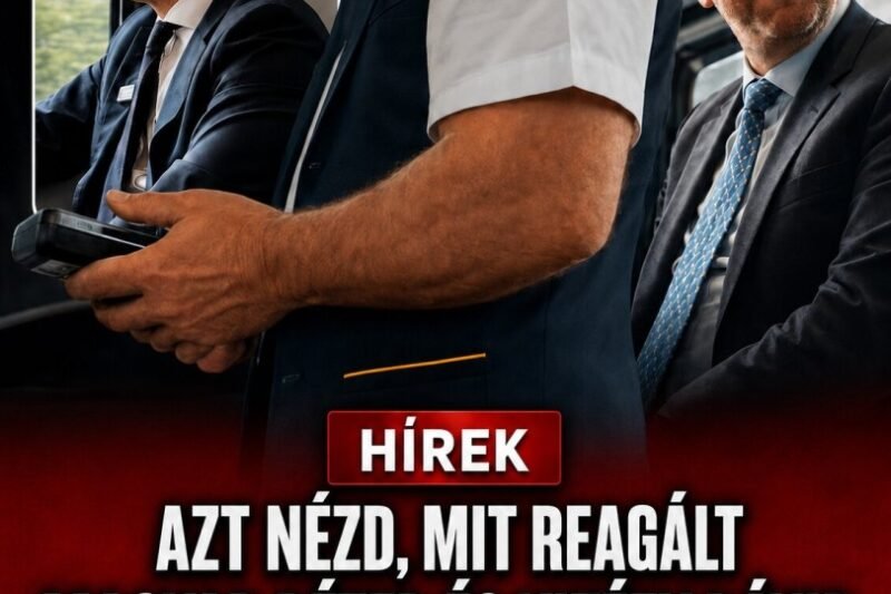 Jegyeket, kérem! – így reagált Magyar Péter és Vitézy Dávid, amikor megjelent a kalauz – MindenegybenBlog