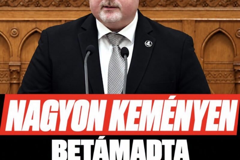 Nagyon keményen betámadta Varga Judit új párja Magyar Pétert